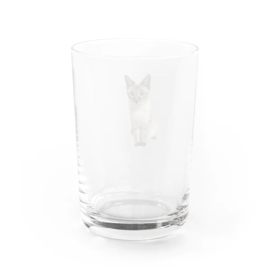 tomokko_riのおすわりこむぎ Water Glass :back