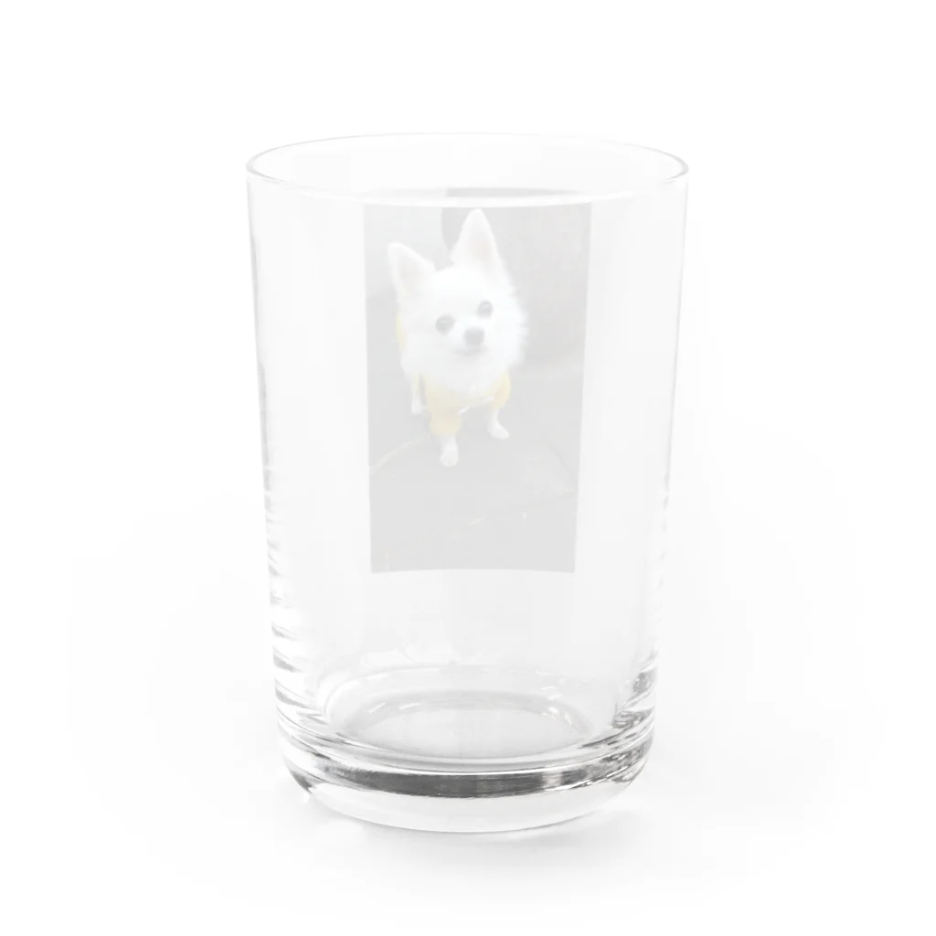 𝓣𝓪𝓴𝓾3000のレオくんシリーズ2 Water Glass :back