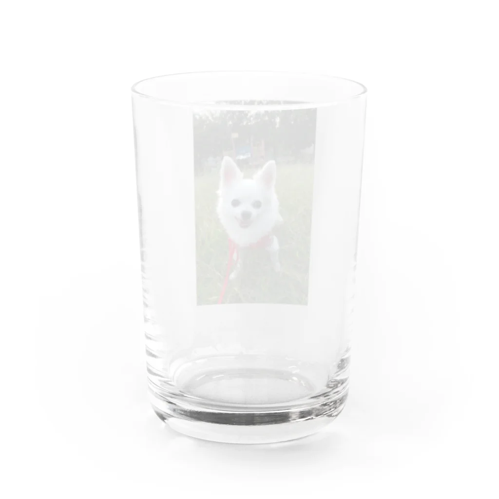 𝓣𝓪𝓴𝓾3000のレオくんシリーズ3 Water Glass :back