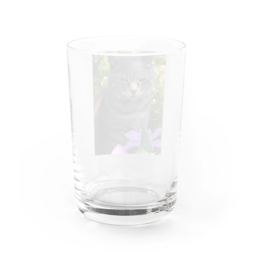 くすくすの森のポチしちゃいなよ...ﾌｯ... Water Glass :back