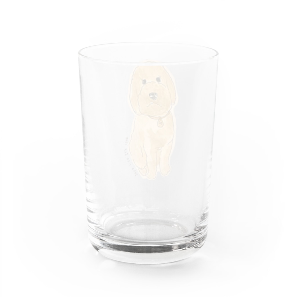 hawkのstandard poodle 『ily』 Water Glass :back
