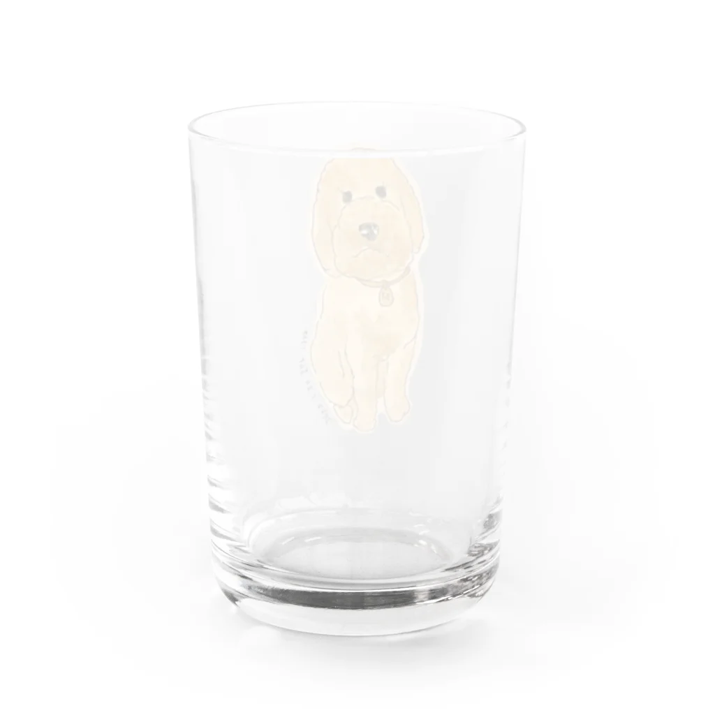 hawkのstandard poodle 『ily』 Water Glass :back