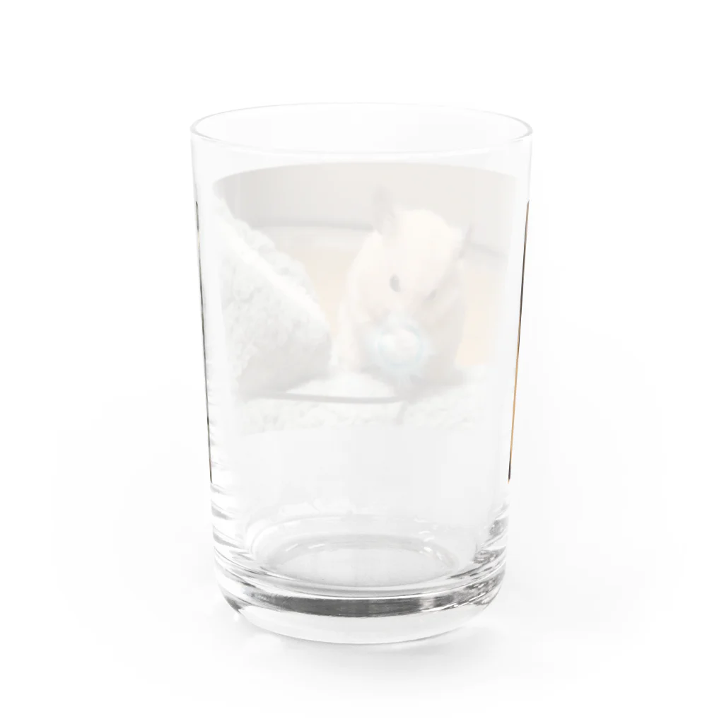 nyanta2020のはむはむはああぁぁーーー！！！ Water Glass :back