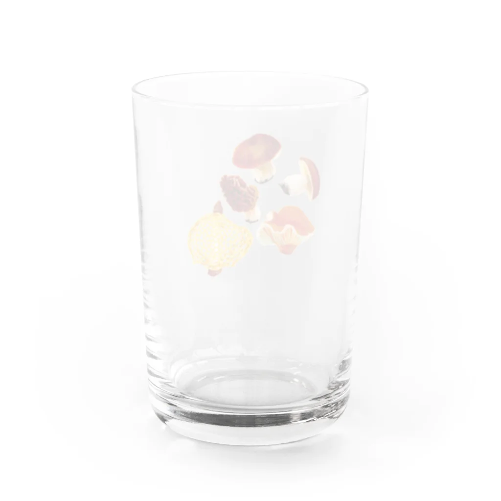 segasworksのキノコ　美味しいの Water Glass :back