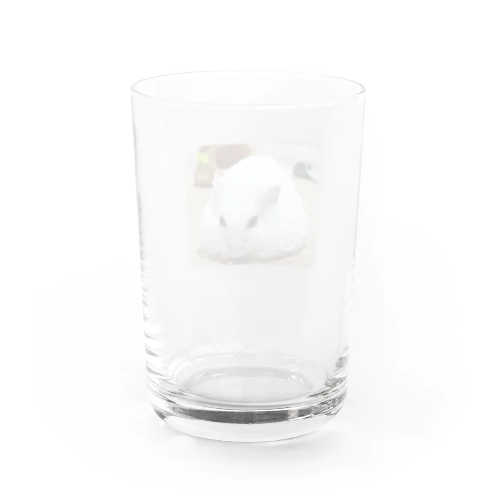 ハムスターといっしょのおにぎりみるく♀ Water Glass :back