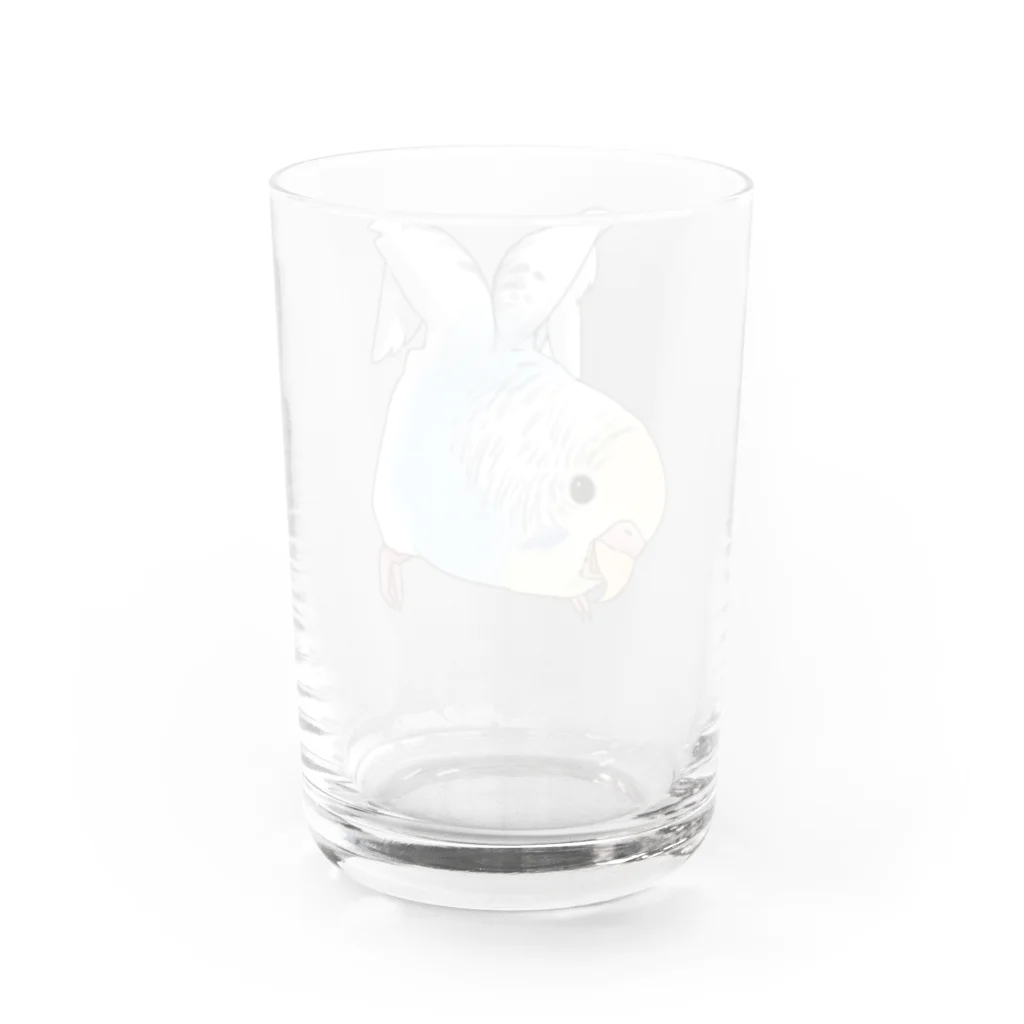 まめるりはことりのご機嫌羽セキセイインコちゃん【まめるりはことり】 Water Glass :back