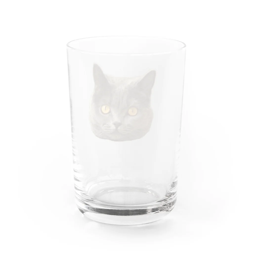 まっかっけいこ@LINEスタンプ販売中のお顔アップもあたん Water Glass :back