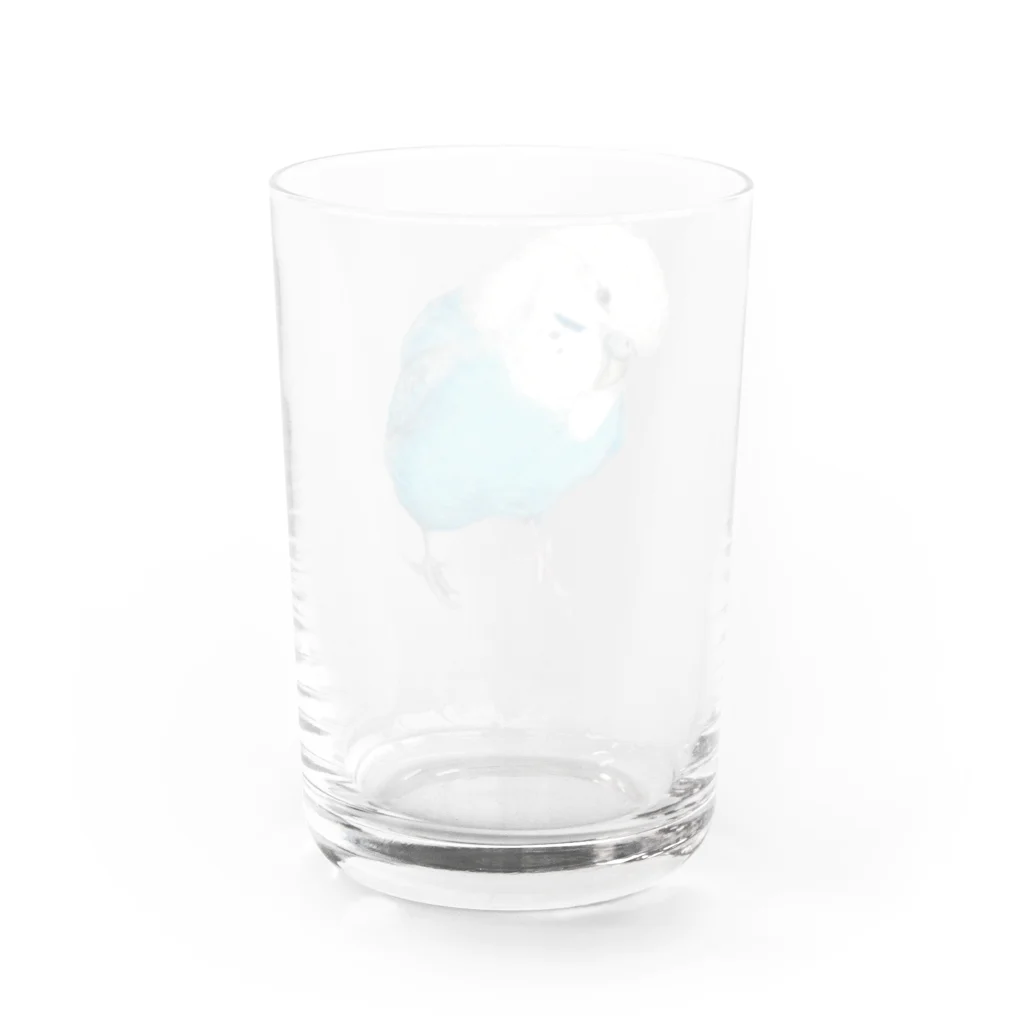 森図鑑の[森図鑑]セキセイインコ オパーリン Water Glass :back