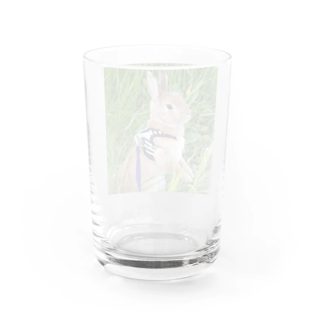 海賊親分とうさぎのお散歩ship Water Glass :back