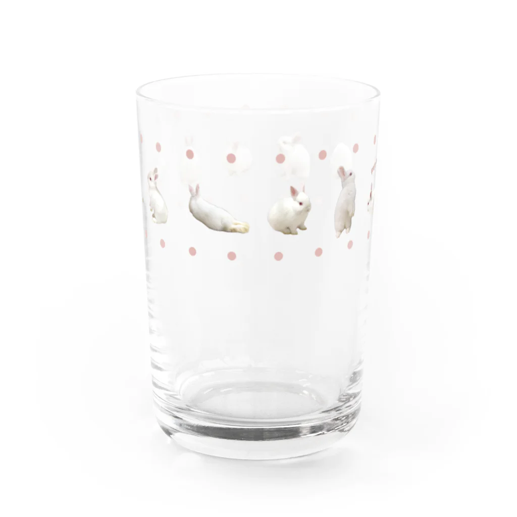 ふゆじかん/chamのふゆちゃんいっぱいグラス（ドット柄01） グラス反対面