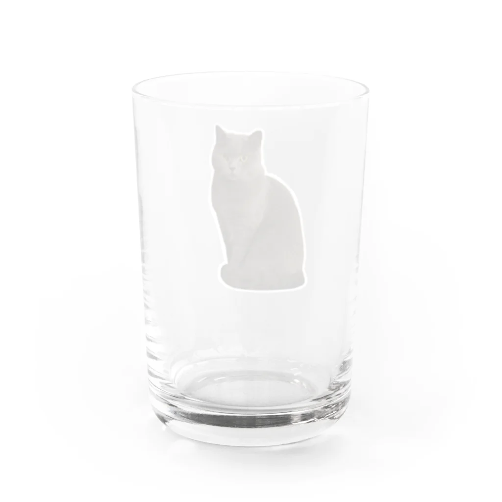 AGUのアグ(全身) Water Glass :back