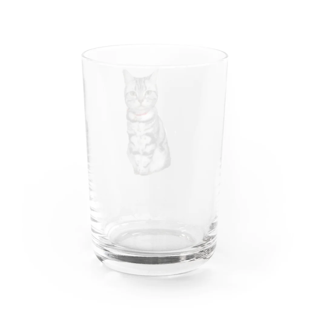 トォーラ🐈の猫のトォーラ Water Glass :back