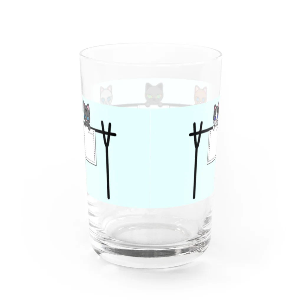 猫部のねこ　pokenyan5　黒猫　ロシアンブルー　ハチワレ　サバトラ　三毛猫 Water Glass :back