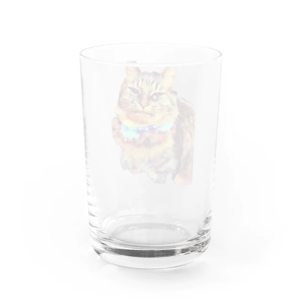 GreenLifezの猫の月見ちゃん Water Glass :back