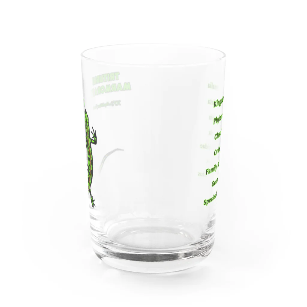 🕷️𝐉𝐚𝐩𝐚𝐧 𝐂𝐫𝐞𝐞𝐩𝐲 𝐢𝐧𝐬𝐞𝐜𝐭𝐬 𝐅𝐞𝐝𝐞𝐫𝐚𝐭𝐢𝗼𝐧🦂のマダライモリ Water Glass :back