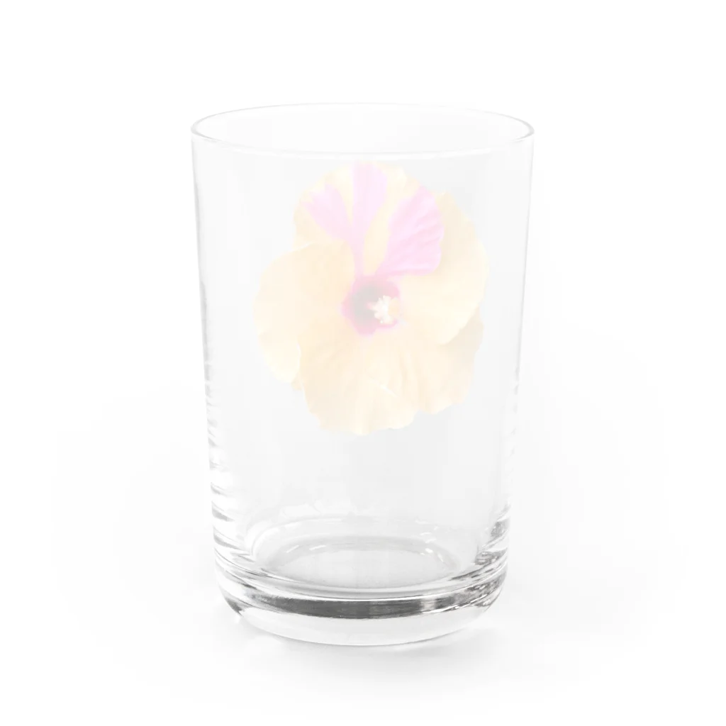 ぺたちきのハイビー Water Glass :back