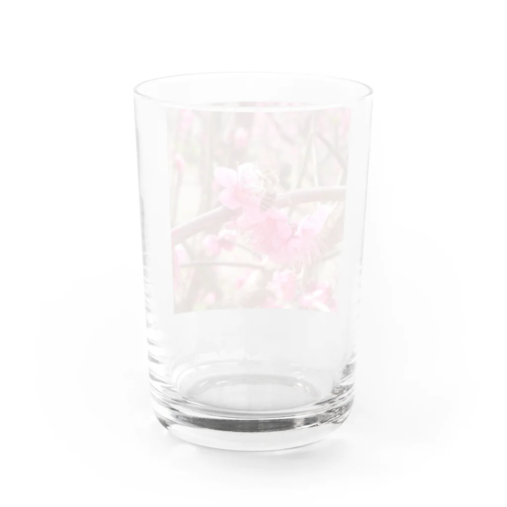 モノウサワールドの小さな世界の住人② Water Glass :back