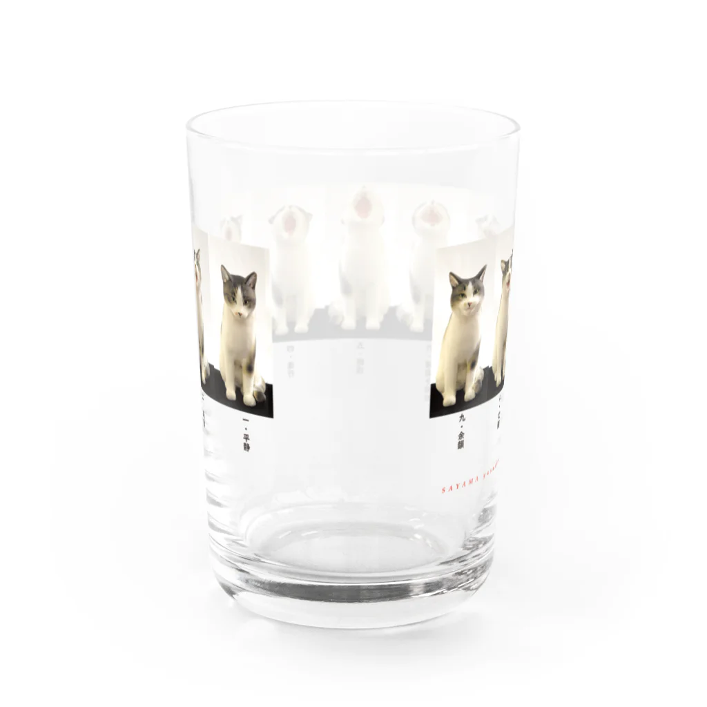 サヤマネコ suzuri店の猫コマ送り〜アクビ編〜 Water Glass :back