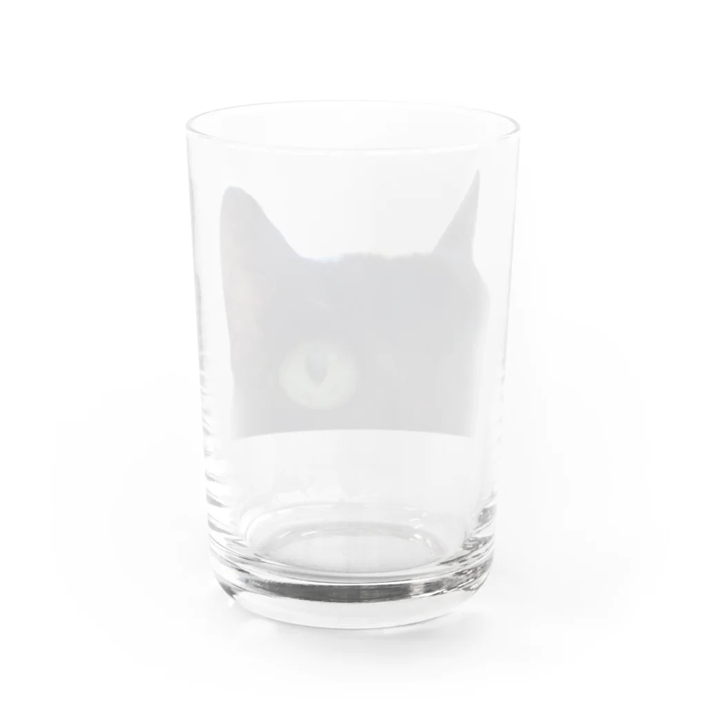 nya nya*のドアップねこ Water Glass :back