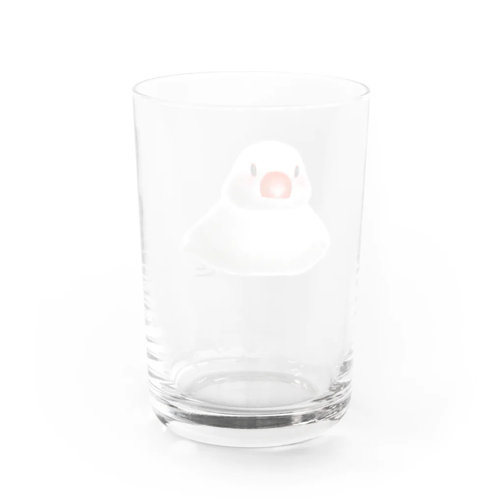 石丸沙織のおすわりポチャ白文鳥ちゃん Water Glass :back