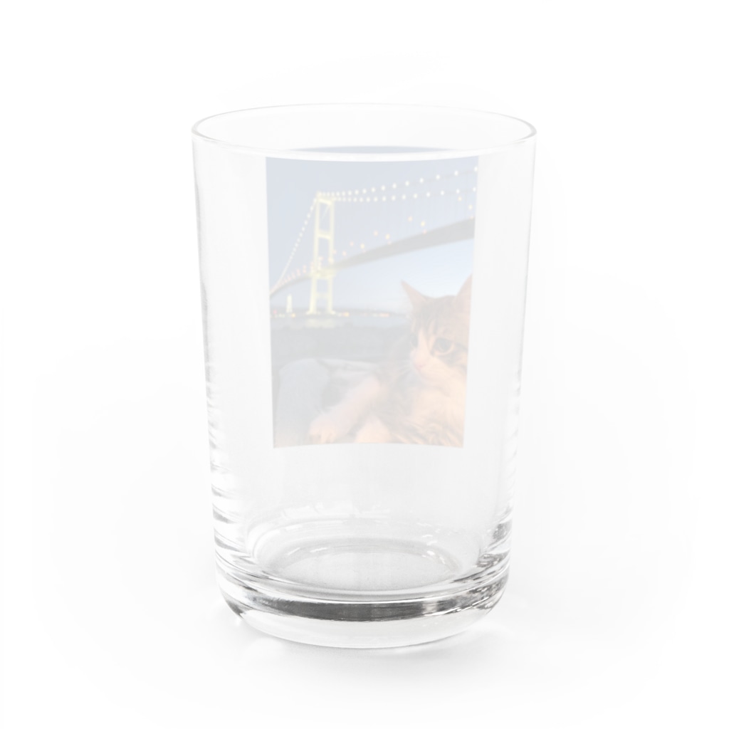 たびねこ蜜柑のたびねこ蜜柑・白鳥大橋 Water Glass :back