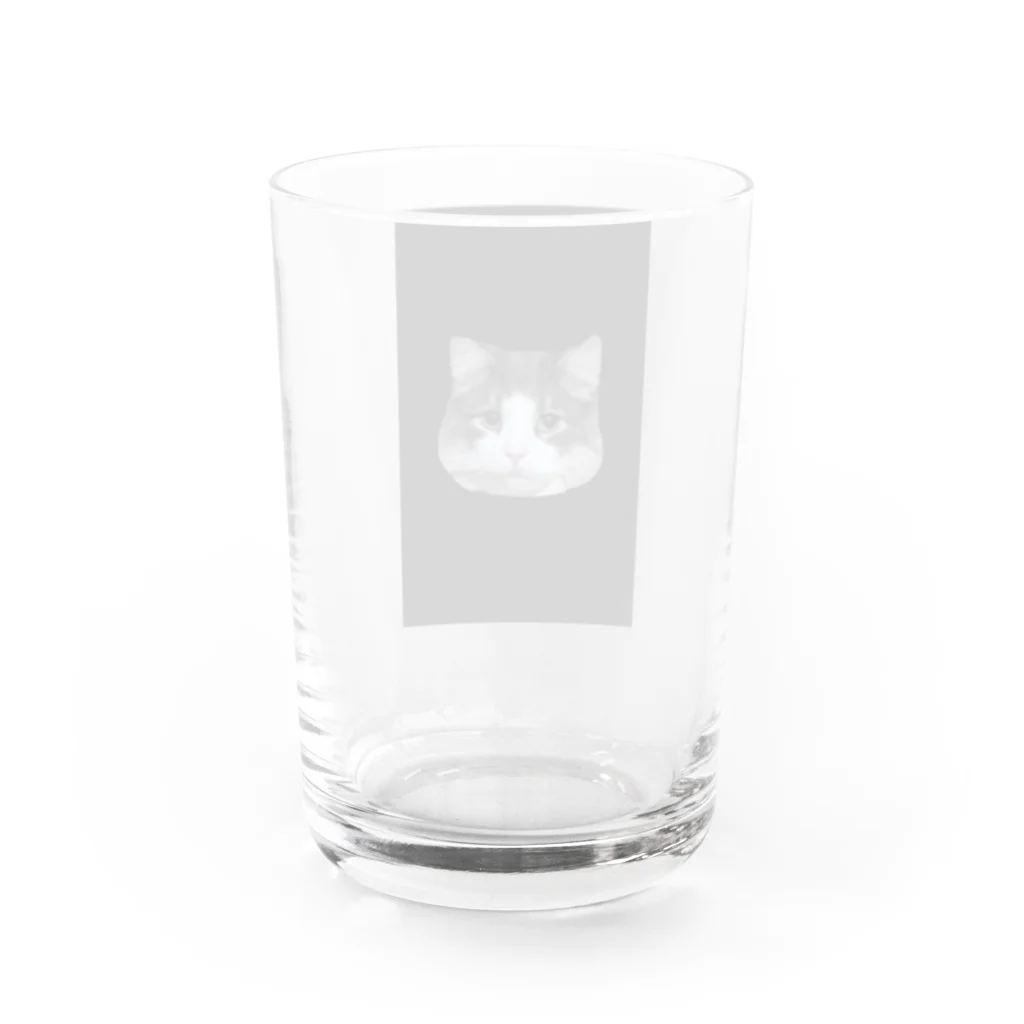 Timmy chan の猫の鳩胸 Water Glass :back