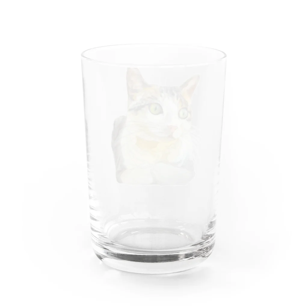 海中のMiyakocat Water Glass :back