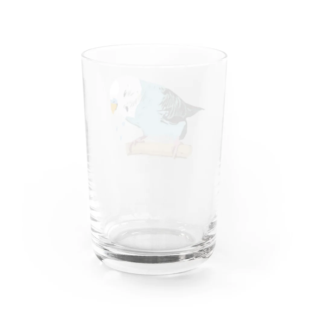 くだらないみち商店のセキセイインコのPちゃん 泣 Water Glass :back