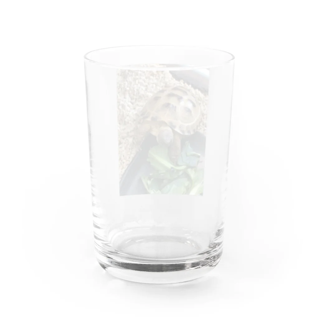 クリエイターズ・ショップのホルス福丸あさごはん Water Glass :back