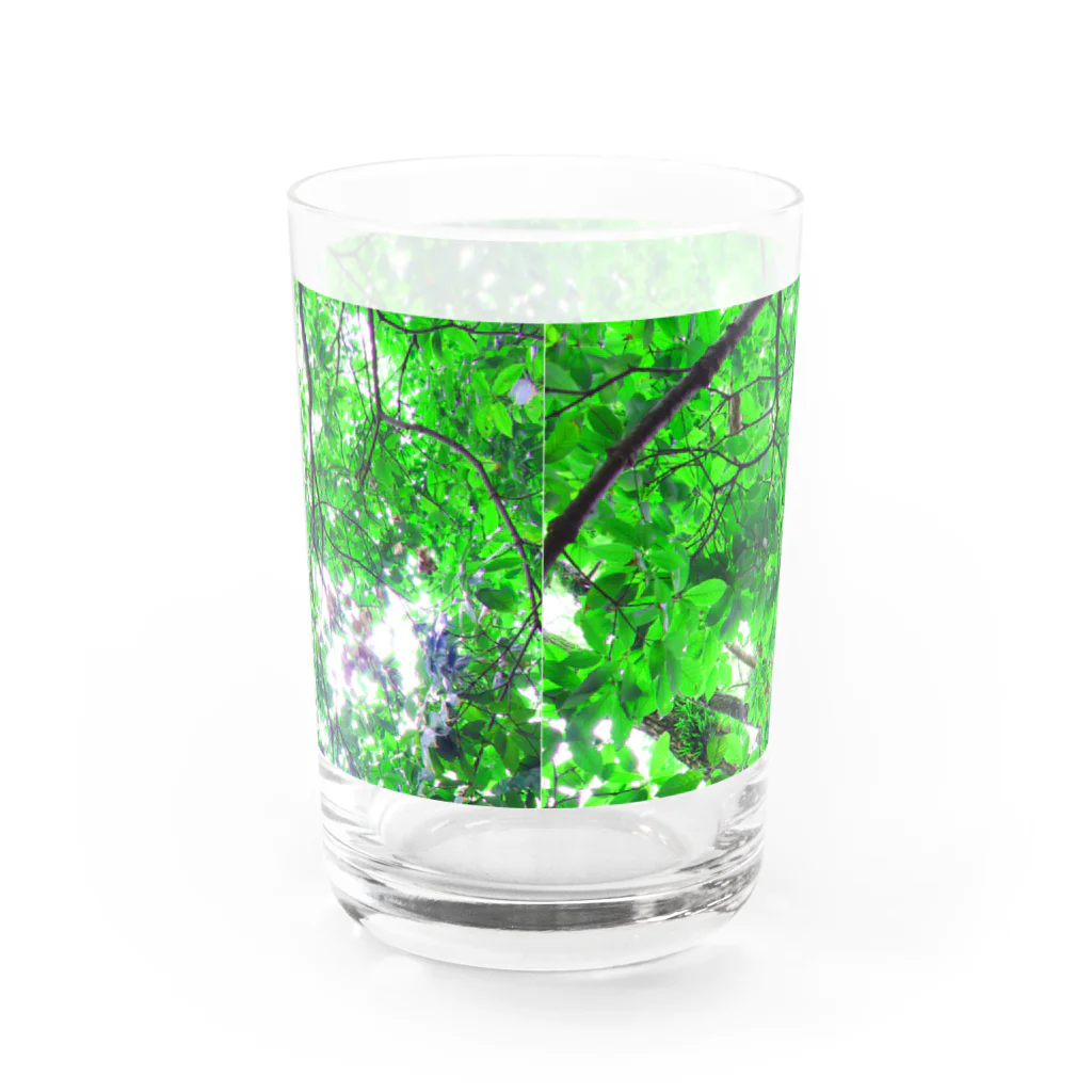 fée de la roseのVert frais Water Glass :back