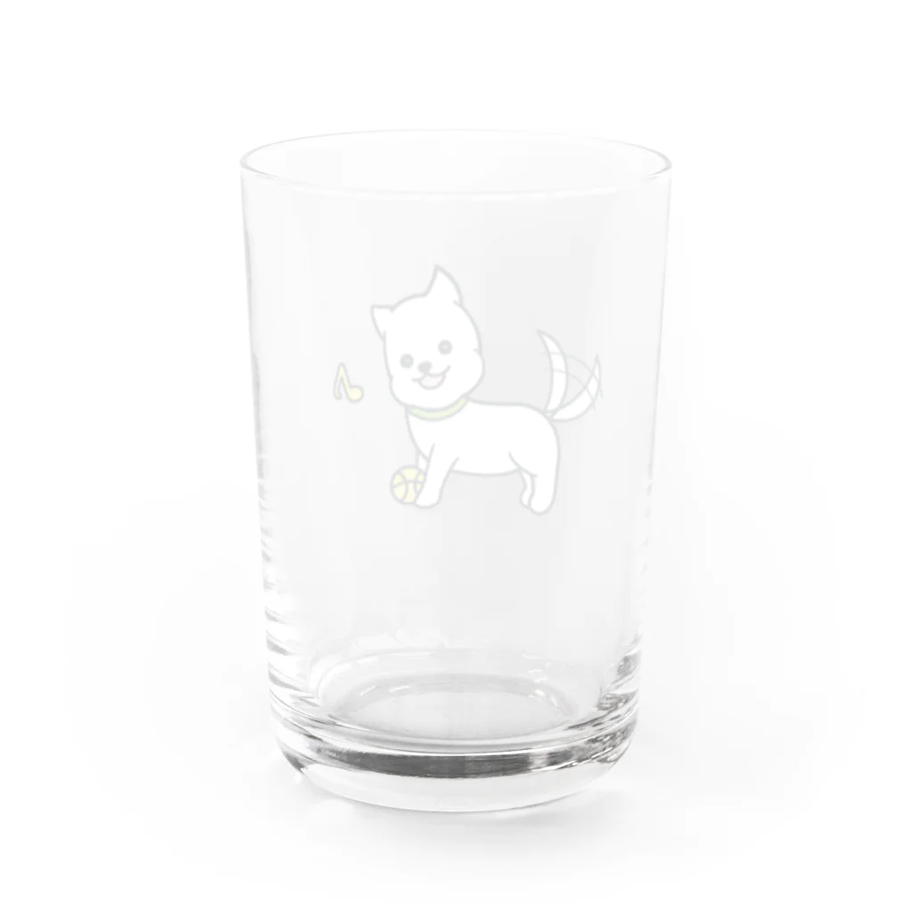 ウェスティのマオのボールで遊ぶマオくん Water Glass :back