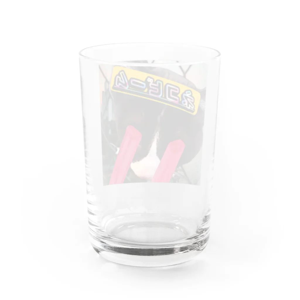 No.3japanのネコビーム Water Glass :back