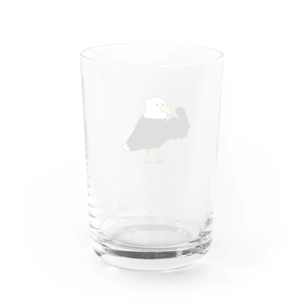 たまのムキムキハクトウワシ Water Glass :back