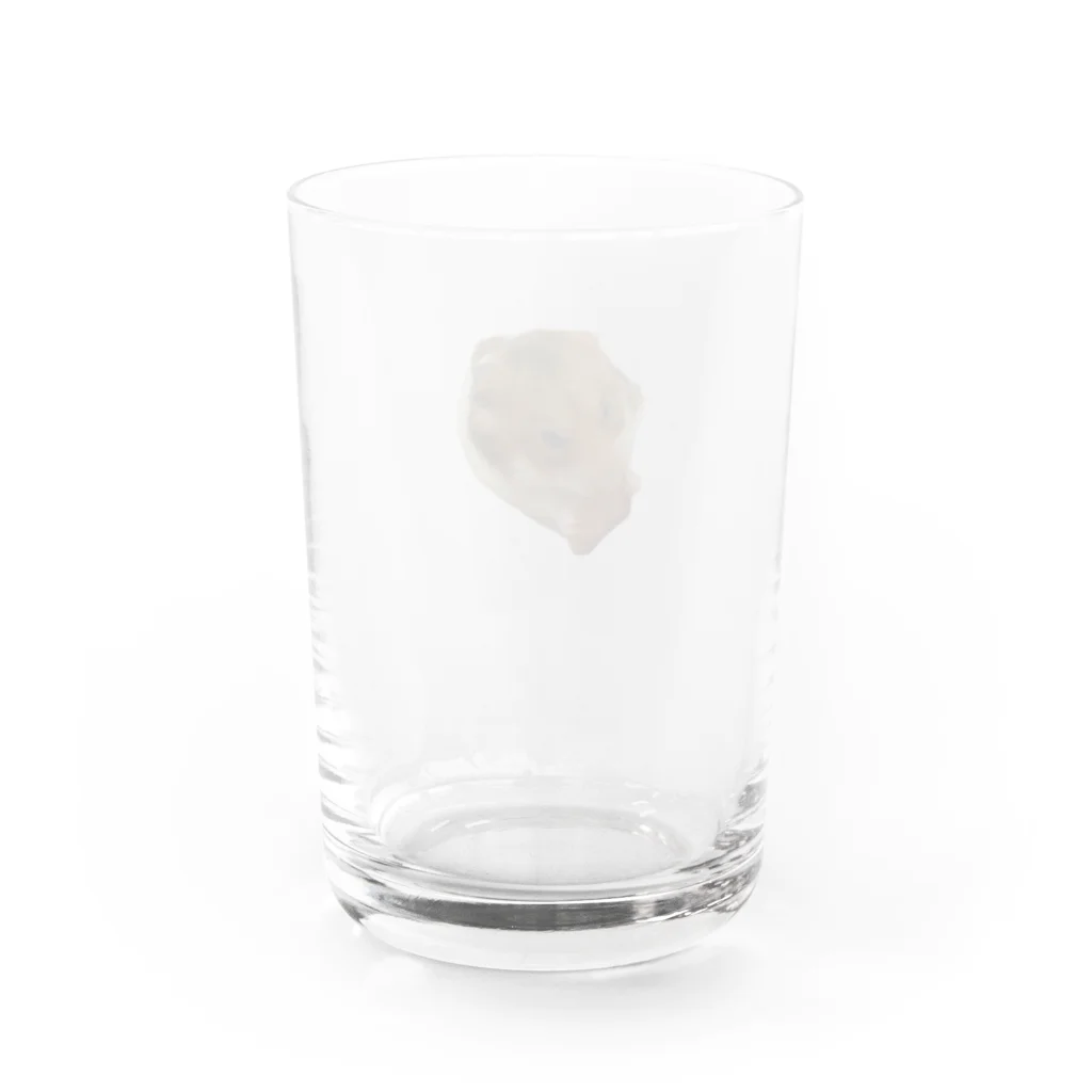 まちやゆず子ショップのハムスター🐹もも Water Glass :back