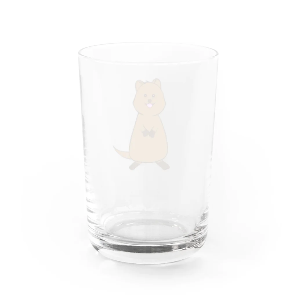 Secret gardenのクアッカワラビー Water Glass :back