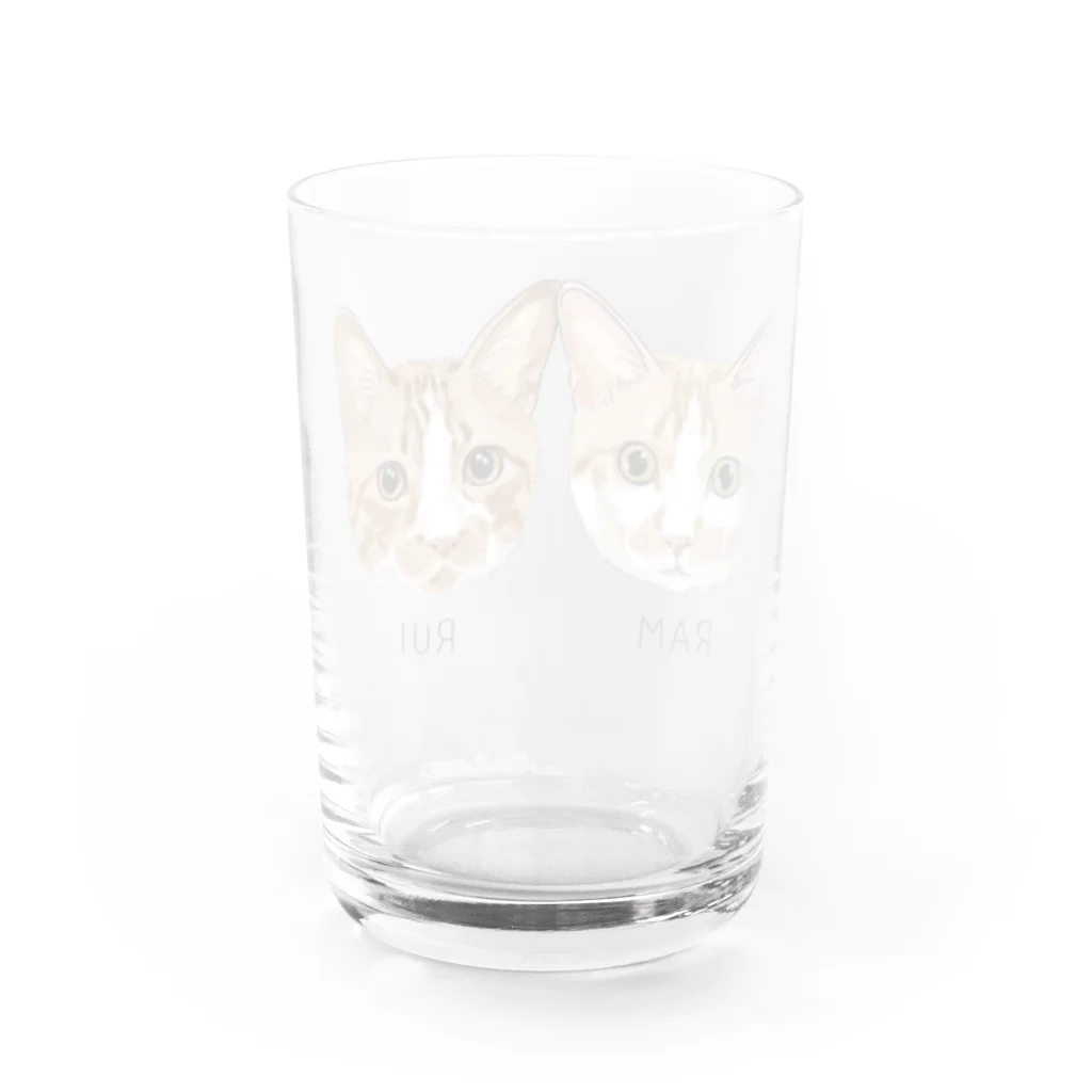 みきぞーん｜保護猫 ミッキー画伯と肉球とおともだちのram&rui Water Glass :back