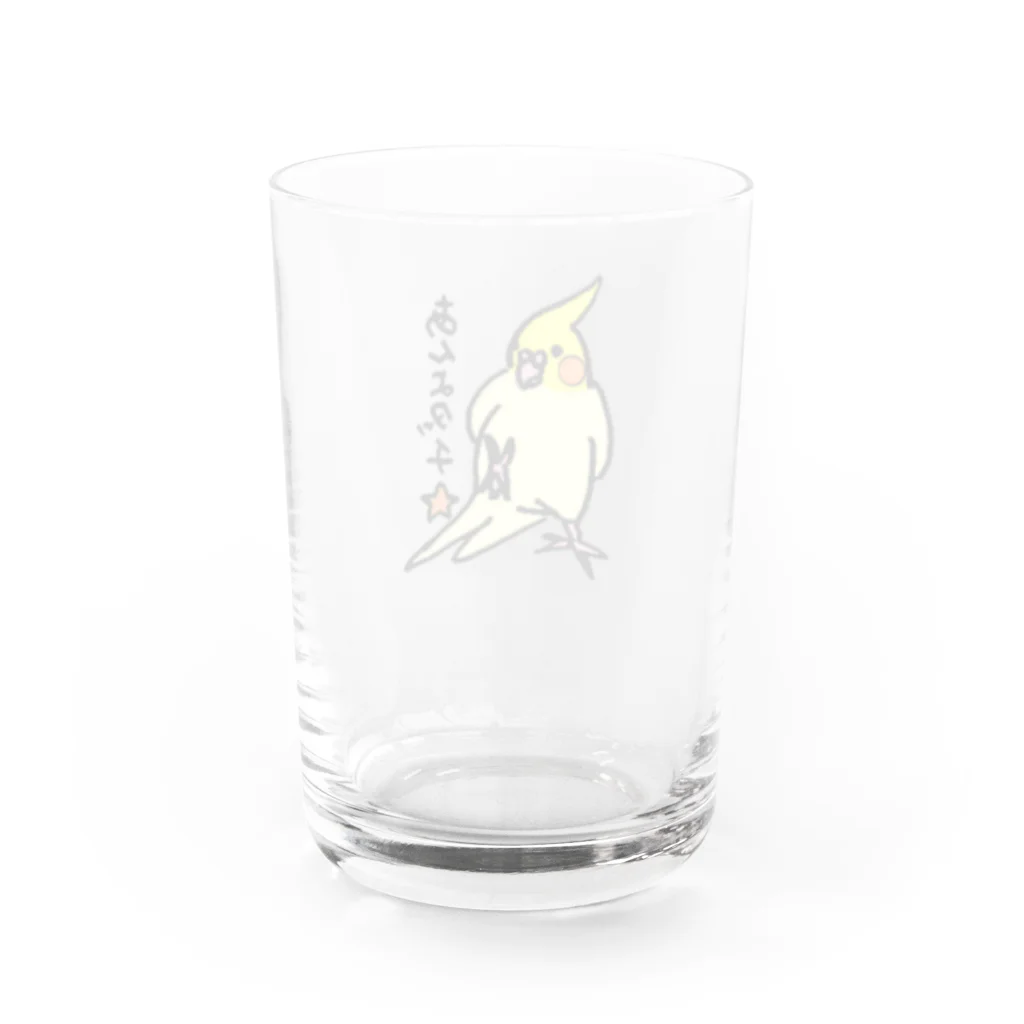 すなねことぽいんちょのオカメインコ　ポインチョ　あんよタッチ　 Water Glass :back