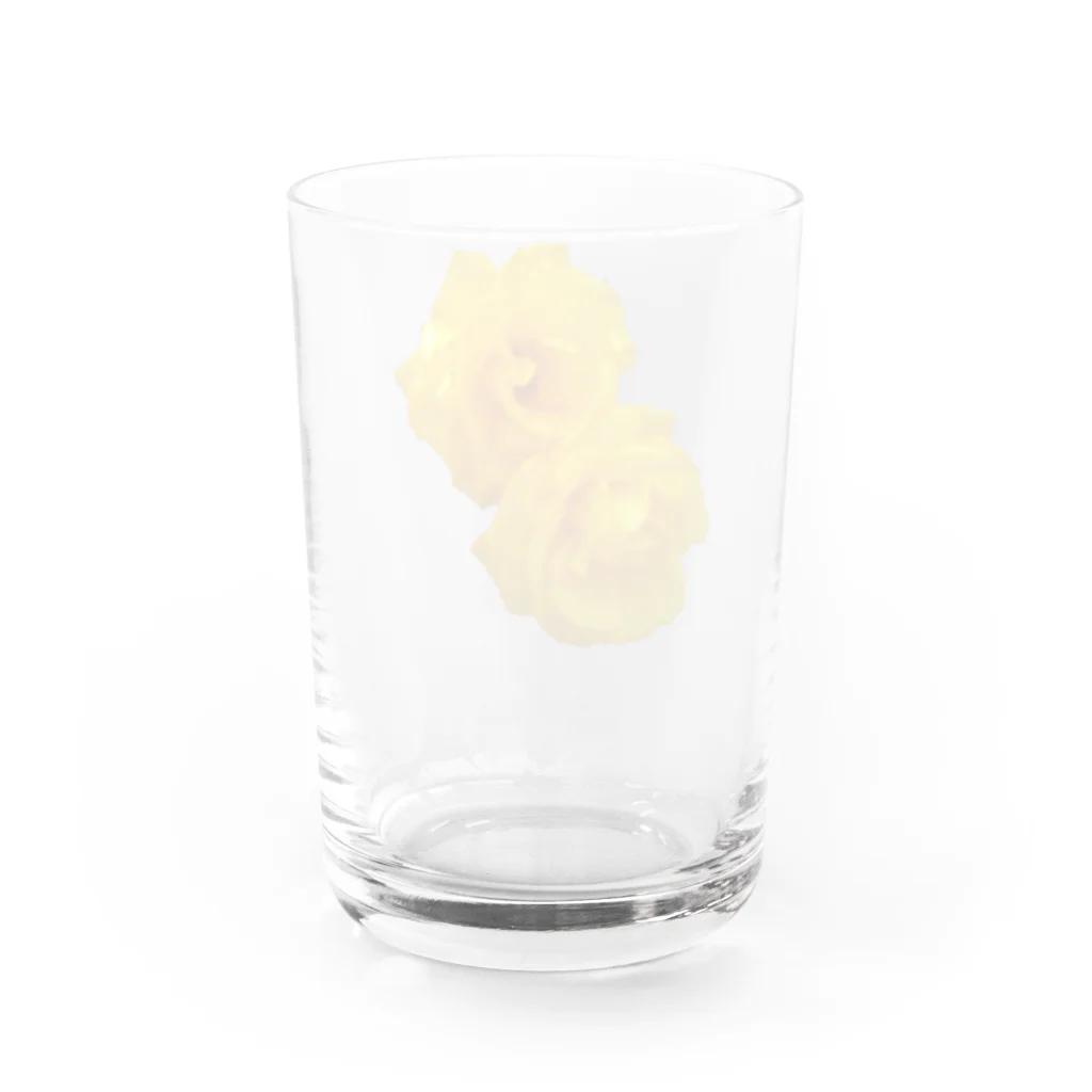 Harunoyozoraの黄色い薔薇の花 Water Glass :back