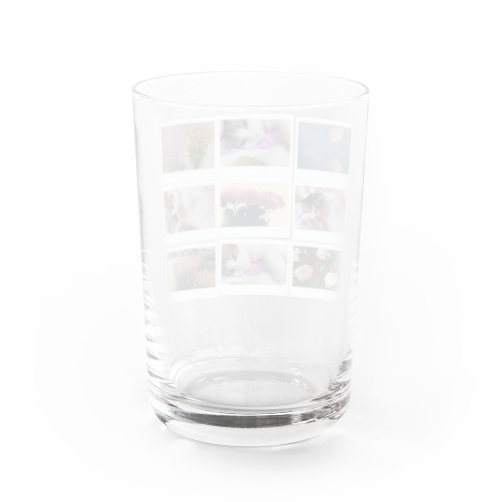 𝙈𝙊𝙈𝙊'𝙨 𝙎𝙝𝙤𝙥のMOMOと春のコラージュ Water Glass :back
