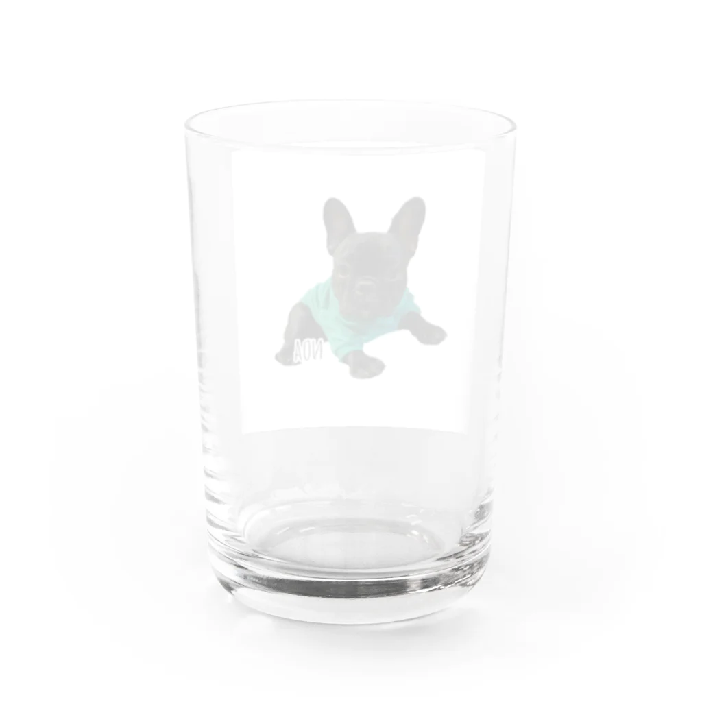 フレブル6兄弟オリジナルグッズのノアたんグラス Water Glass :back