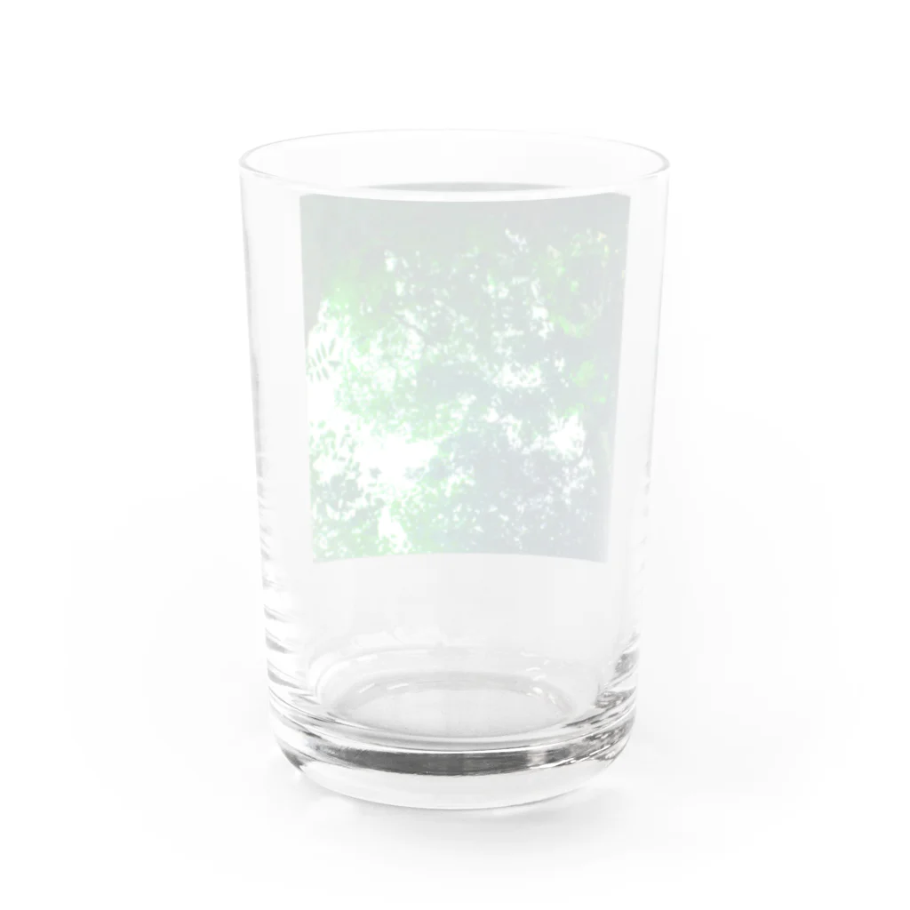 fée de la roseの水の中の世界 Water Glass :back