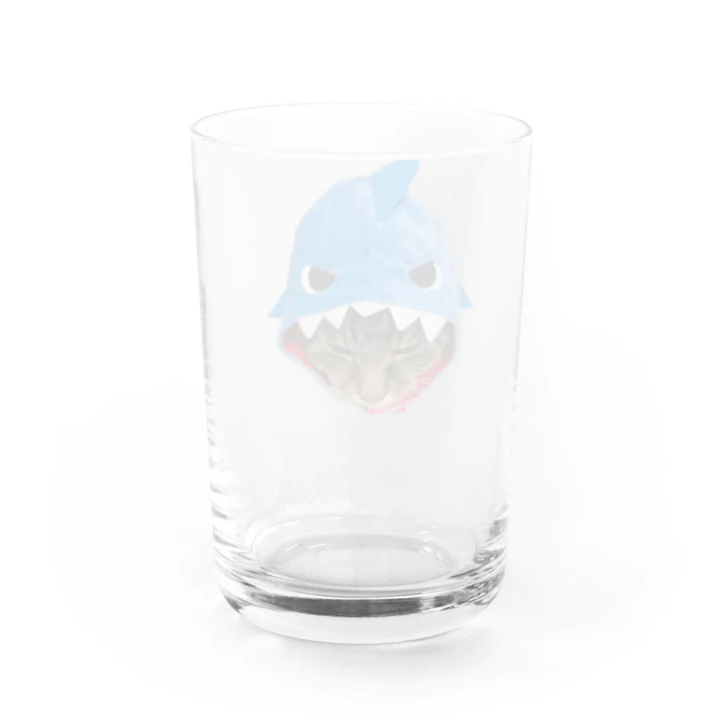 ねこ・ねこのシャーク Water Glass :back