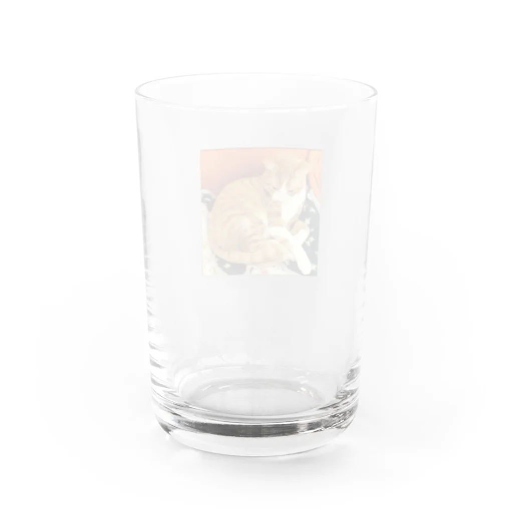 cのまるっとねこリンツ Water Glass :back