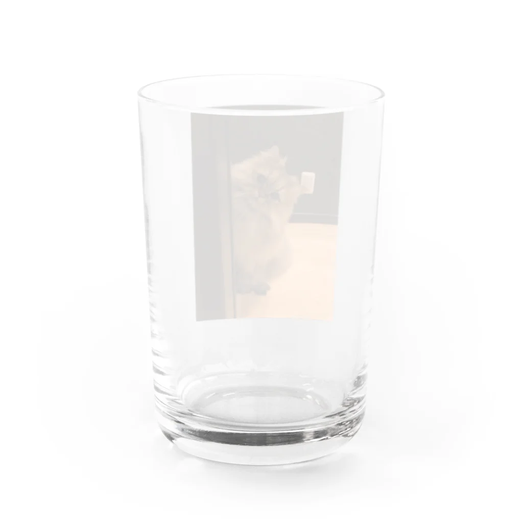 パピコちゃんのお部屋のパピコちゃん Water Glass :back