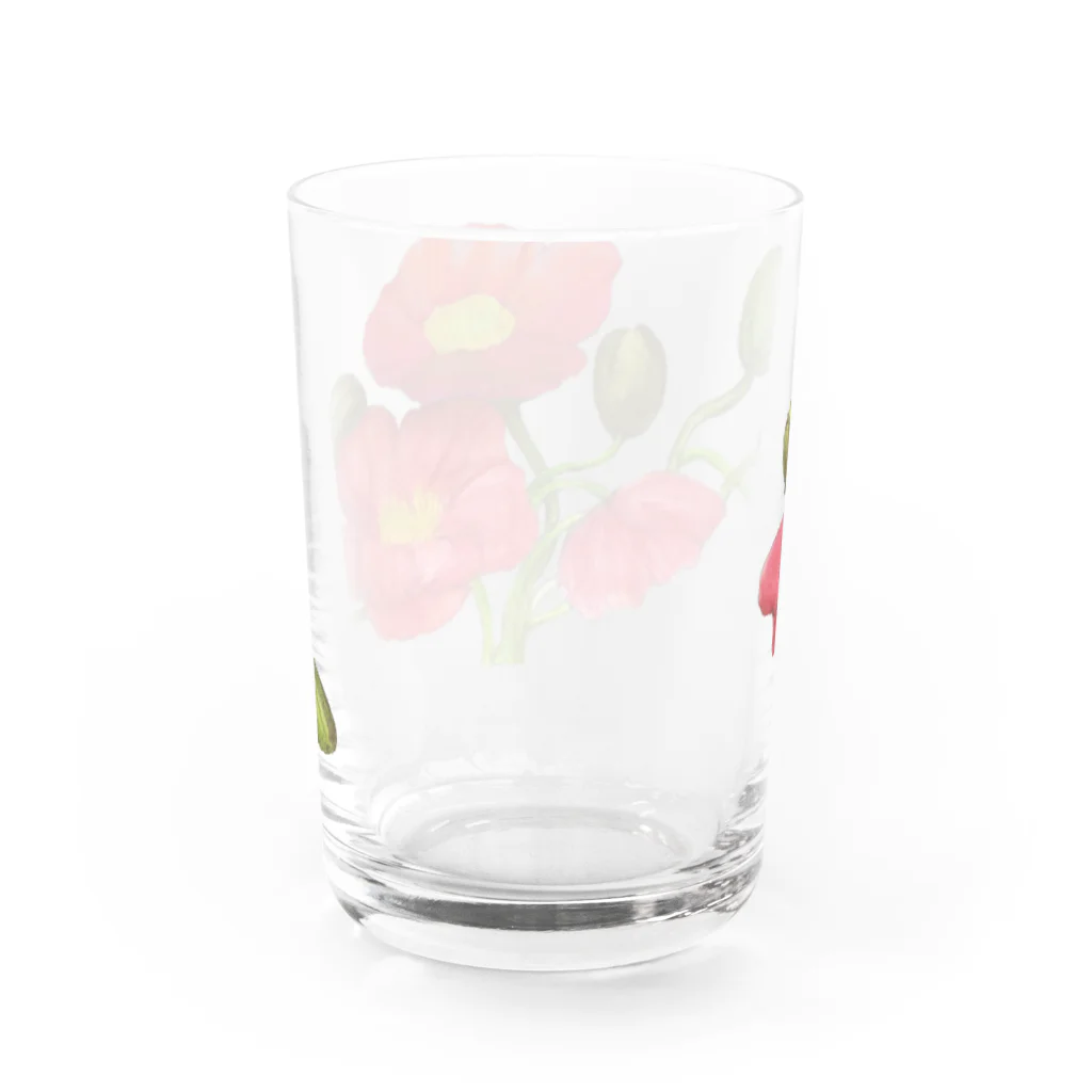 あおちゃん商会のPoppy Water Glass :back