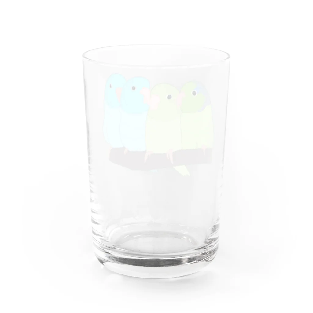 masumi maedaの寄り添う　マメルリハ　 Water Glass :back