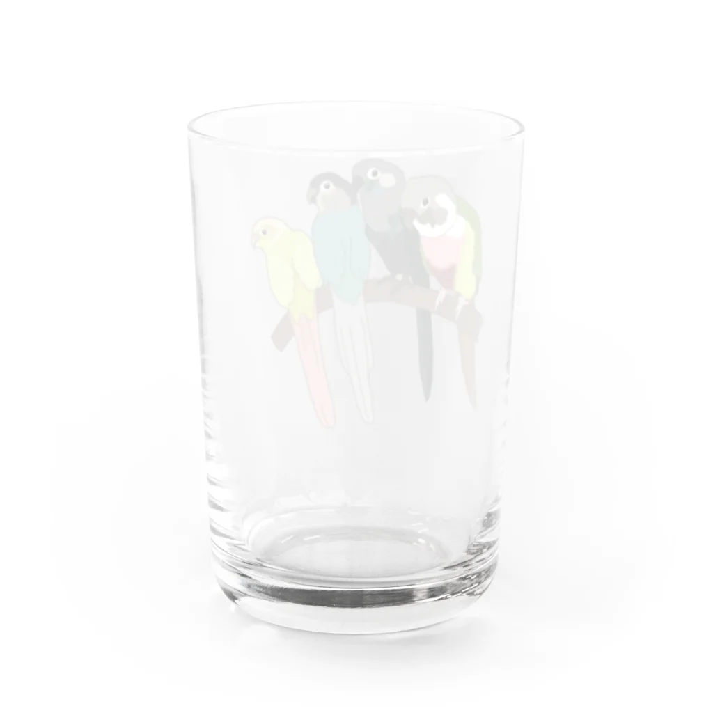 masumi maedaの寄り添う　ウロコインコ　 Water Glass :back