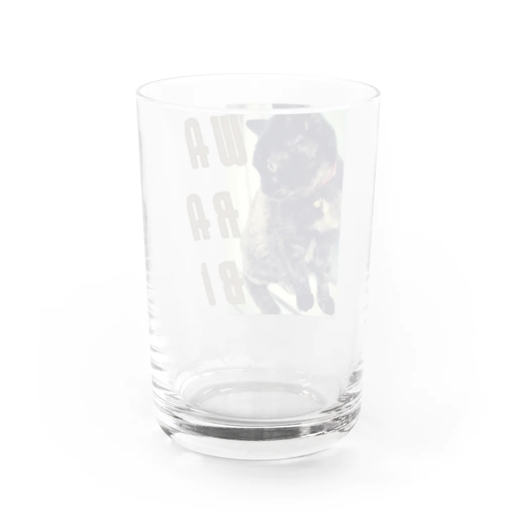 アートワークスみいねこのわらび Water Glass :back