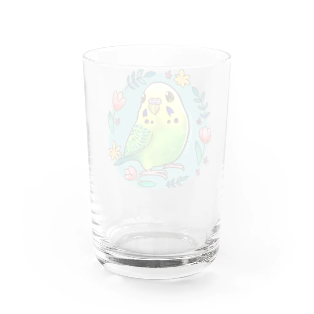 甘えん坊オカメインコのセキセイインコ原種ちゃん Water Glass :back