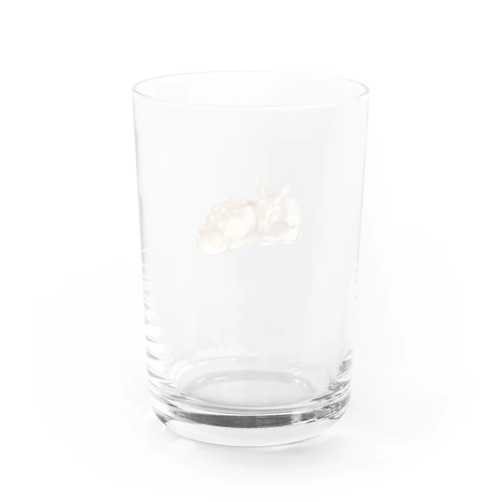kashikuの居眠りシカ Water Glass :back